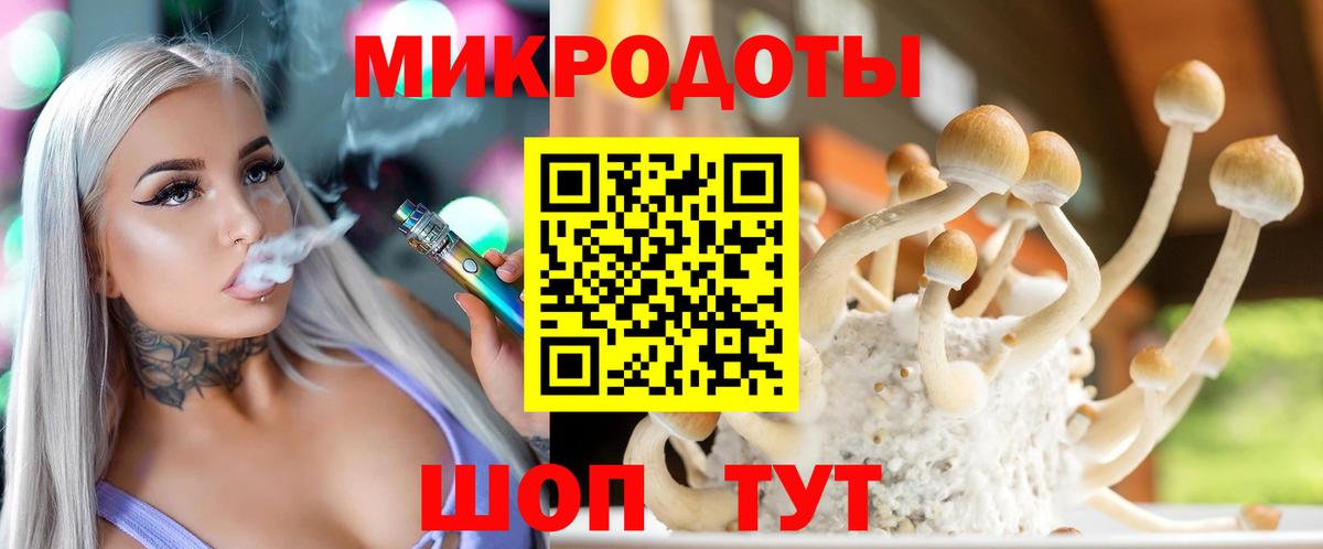 Галлюциногенные грибы MAGIC MUSHROOMS  Вход с VPN  Канаш 