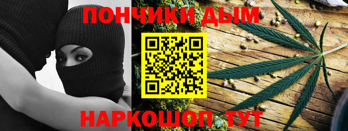 Конопля конопля Канаш